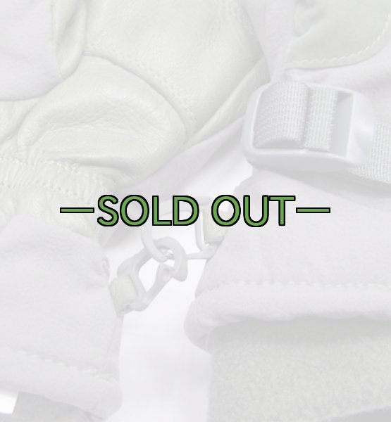 画像5: ICWグローブ　ACU　FG (5)