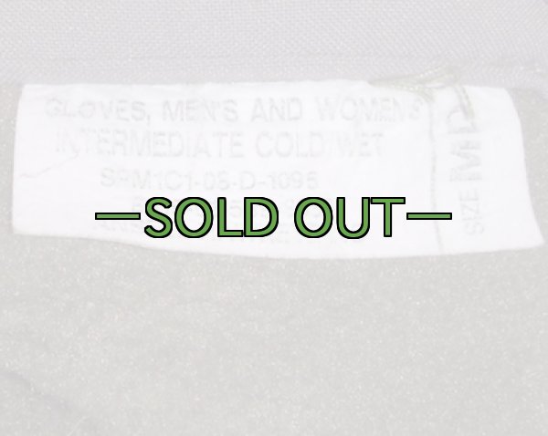 画像3: ICWグローブ　ACU　FG (3)