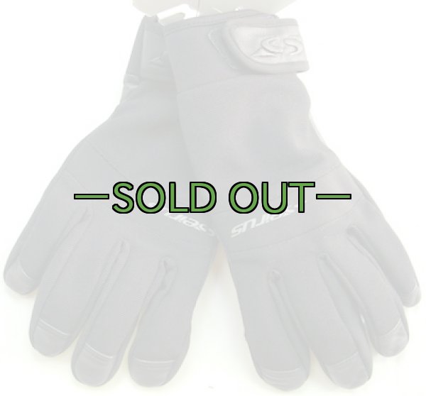 画像2: 米軍放出グローブ　SEIRUS　黒 (2)