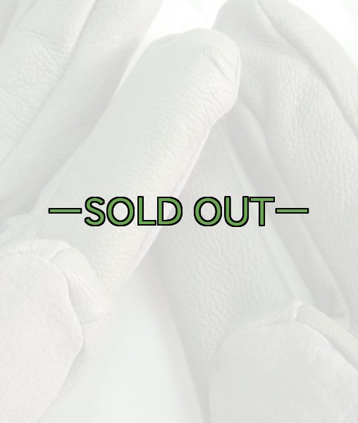 画像4: 防寒グローブ　ARMY FG (4)