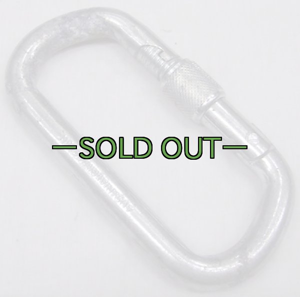 画像2: カラビナ　スチール　AUSTRIALPIN (2)