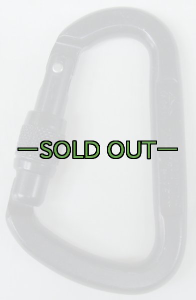 画像2: カラビナ　スチール　スクリューロック AUSTRIALPIN　黒 (2)