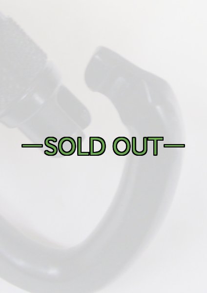 画像6: カラビナ　スチール　スクリューロック AUSTRIALPIN　黒 (6)