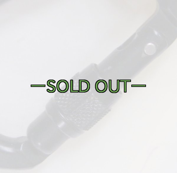 画像5: カラビナ　スチール　スクリューロック AUSTRIALPIN　黒 (5)