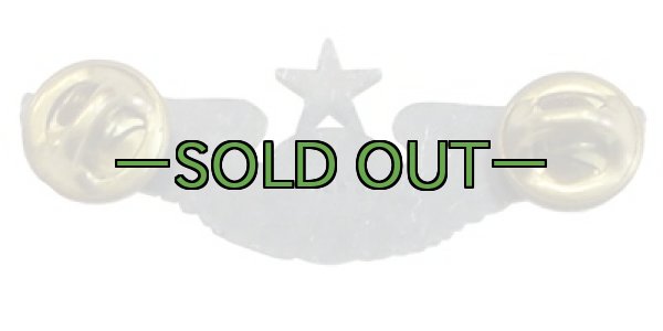 画像2: シニアエアクルー　ウイング　バッチ　ミニ　ピンズ (2)