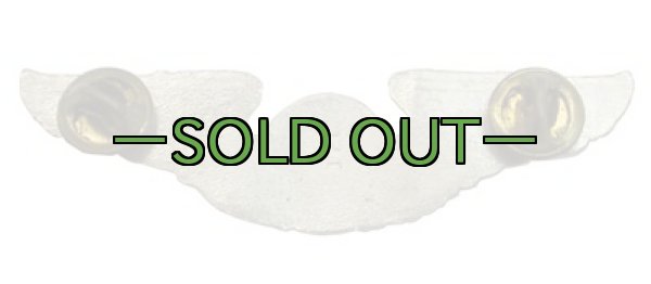 画像2: エアクルー　ウイング　バッチ　ピンズ (2)