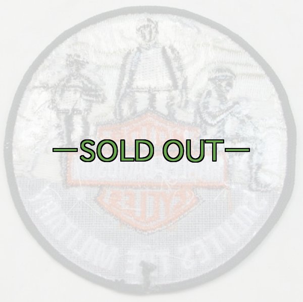 画像3: HARLEY-DAVIDSON　ミリタリー02　パッチ (3)