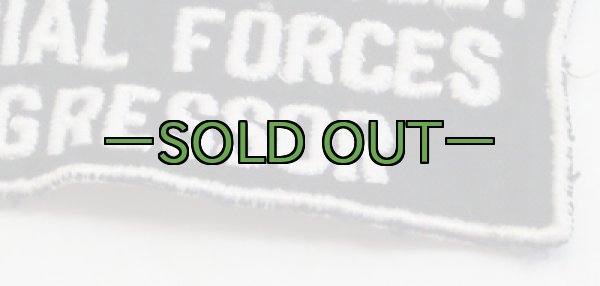 画像3: AF　SF　アグレッサー　パッチ (3)