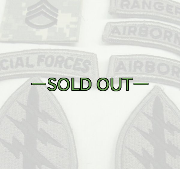 画像3: グリンベレー　パッチセット　中古良品　ACU (3)