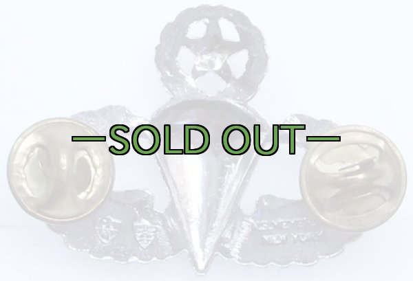 画像3: 米軍　マスター空挺章　バッチ　ピンズ (3)