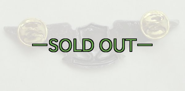 画像3: NAVY AIR WARFARE　ツヤなし　ウイング　バッチ　ピンズ (3)