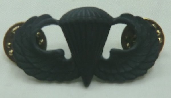 画像3: 米軍 ベーシック空挺章 黒 バッチ ピンズ (3)