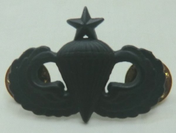 画像3: 米軍　シニア空挺章　黒　バッチ　ピンズ (3)