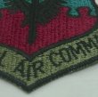 画像2: TACTICAL AIR COMMAND　パッチ (2)