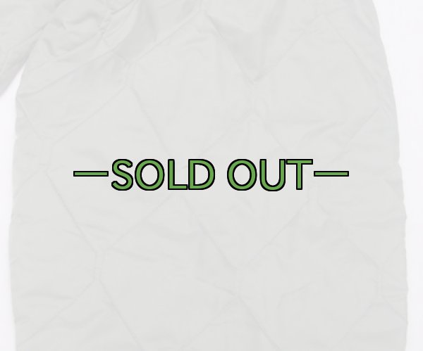 画像5: CWU-9/P用ライナーパンツ　DSA (5)