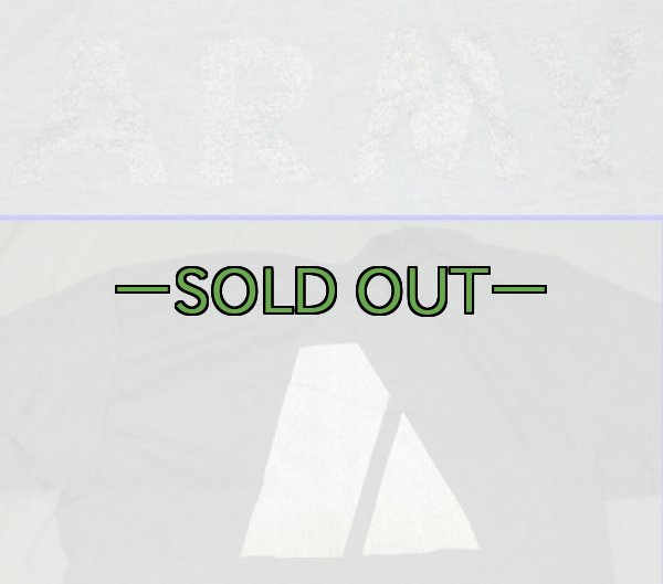 画像4: ARMY　PFU　Tシャツ　リフレクター　PT (4)