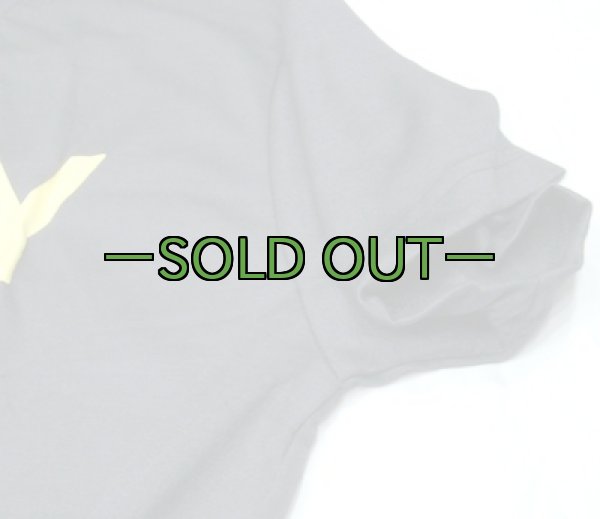 画像4: ARMY　PFU　Tシャツ　新型　PT (4)