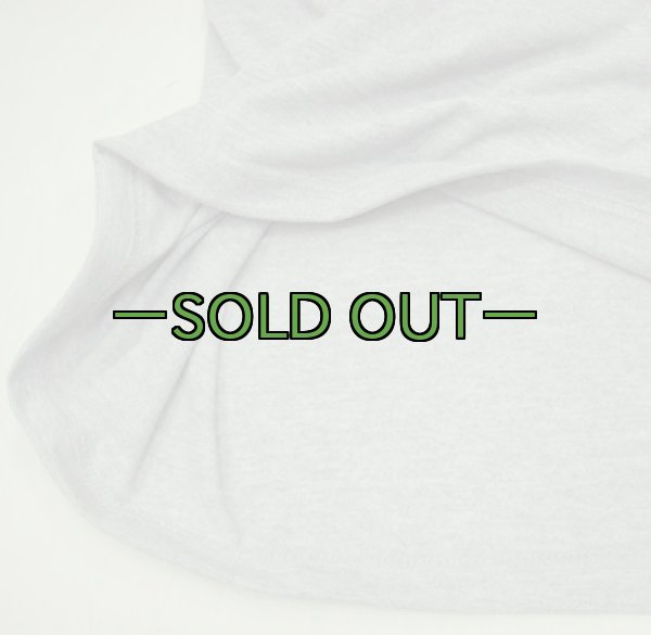 画像7: ARMY　PFU　Tシャツ　士官学校　リフレクター　PT (7)