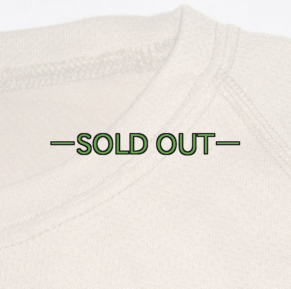 画像3: PCUレベル1 ショートスリーブシャツ　コヨーテ (3)