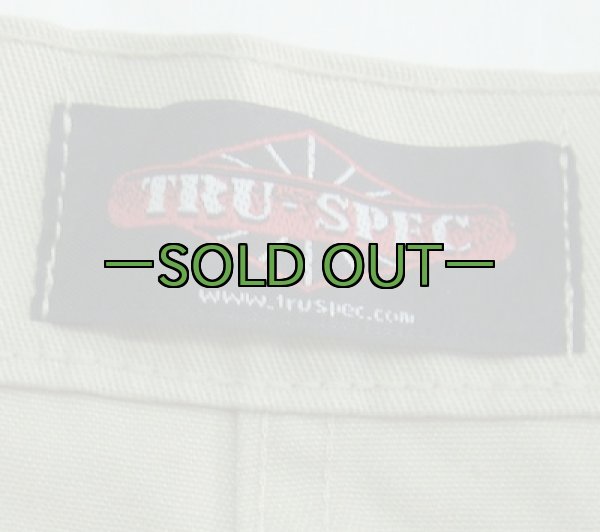 画像6: スイム トランクス　UDT TRU-SPEC (6)