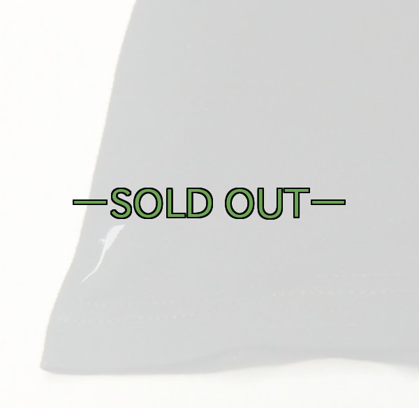 画像6: ARMY　PFU　ロングスリーブ Tシャツ　新型　PT (6)