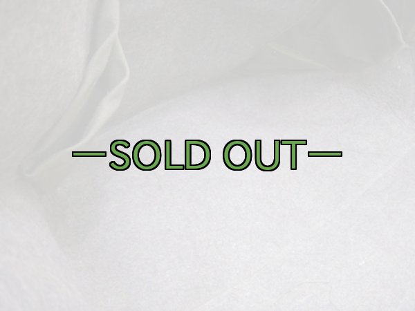 画像14: 空挺ウェポン　装備品バックパック　60年代　エアボーン (14)