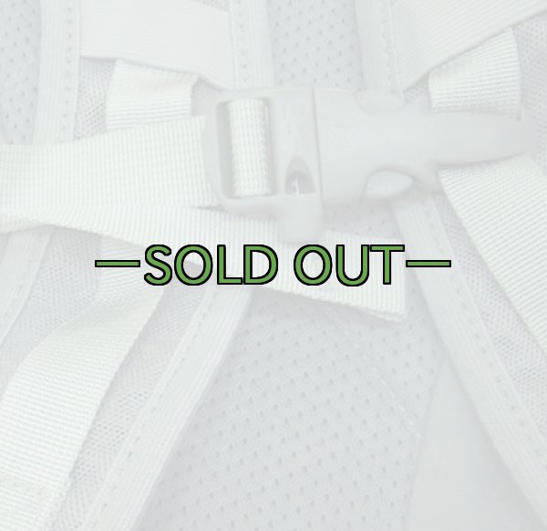 画像6: REI FLASH22バックパック　シルバーグレー (6)