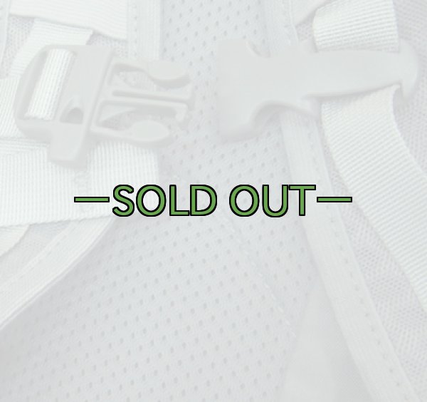 画像7: REI FLASH22バックパック　シルバーグレー (7)