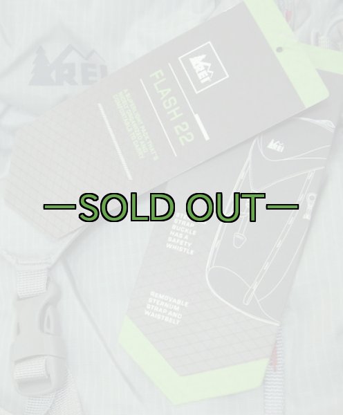 画像3: REI FLASH22バックパック　シルバーグレー (3)