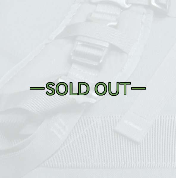 画像11: MORPバッグ　バックパック　黒　S.O.TECH (11)