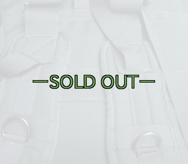 画像10: MORPバッグ　バックパック　黒　S.O.TECH (10)