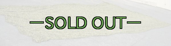 画像3: ダックハンター　パラシュート生地　中古上　薄手　タープ型 (3)