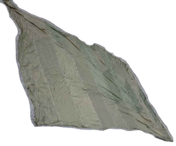 画像4: パラシュート生地　60年代　ノンリップ　中古良品　OD (4)