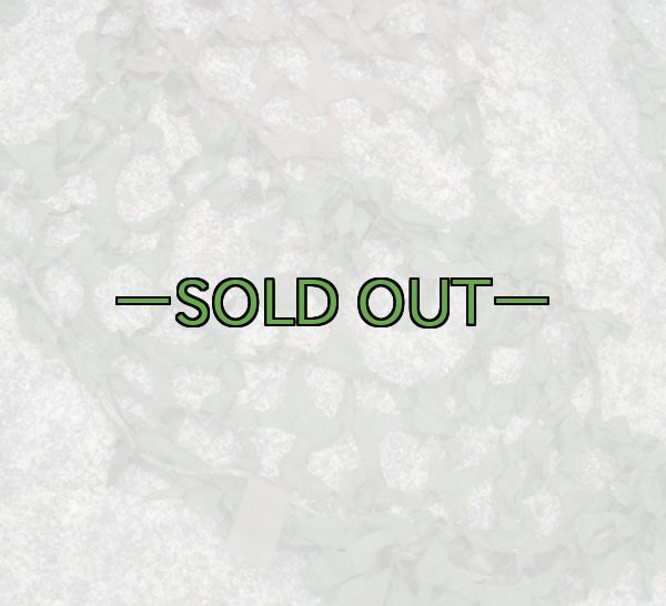 画像2: 旧型偽装網　中古良品　3.7×3.1m　ウッドランド (2)