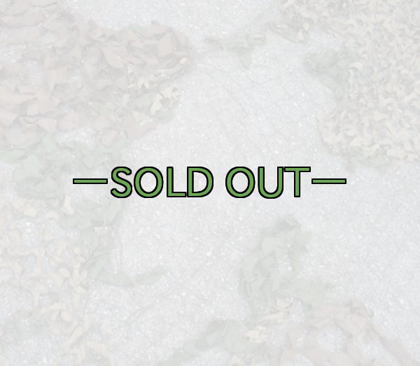 画像14: 旧型偽装網　中古良品　3.7×3.1m　ウッドランド (14)