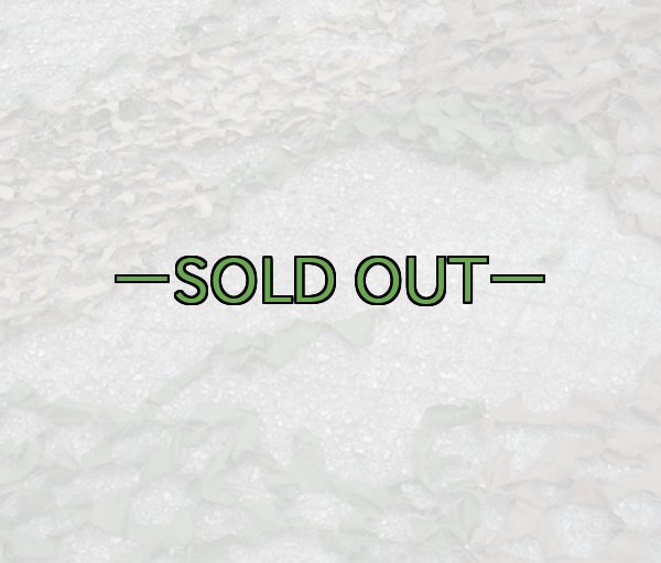 画像8: 旧型偽装網　中古良品　3.7×3.1m　ウッドランド (8)