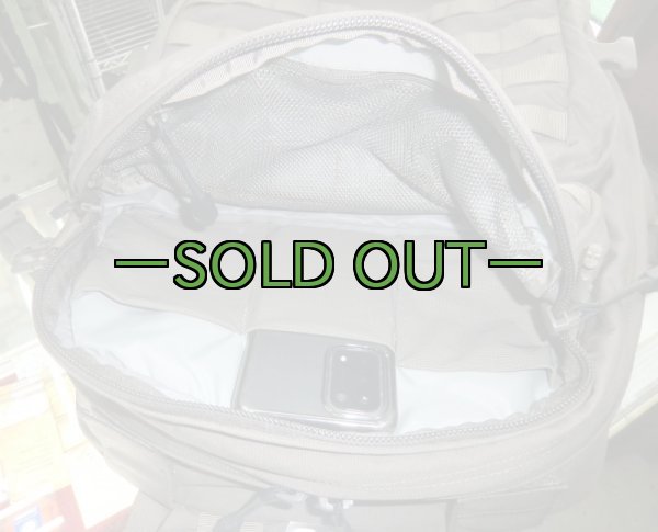 画像2: スウェーデンアサルト画像 (2)